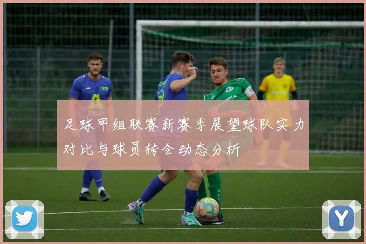 足球甲组联赛新赛季展望球队实力对比与球员转会动态分析