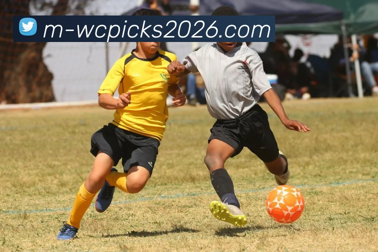 玩法全解析全站App